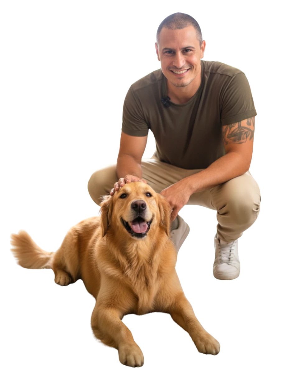 Cão golden retriever durante adestramento a domicílio da MY DOG em São Paulo